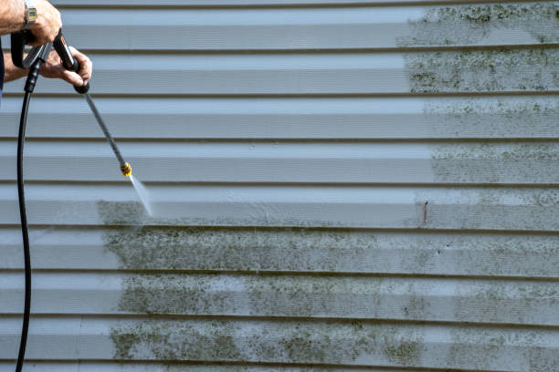 Best Siding for New Construction  in Sheffield, AL